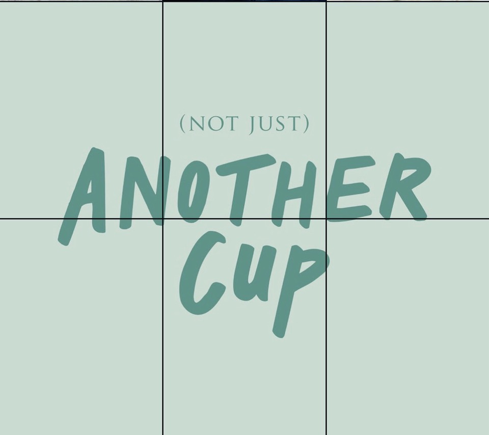 Another cup log